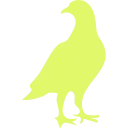pigeons